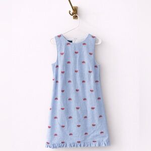 Talbots Light Blue Sleeveless Dress with Watermelon Embroidery